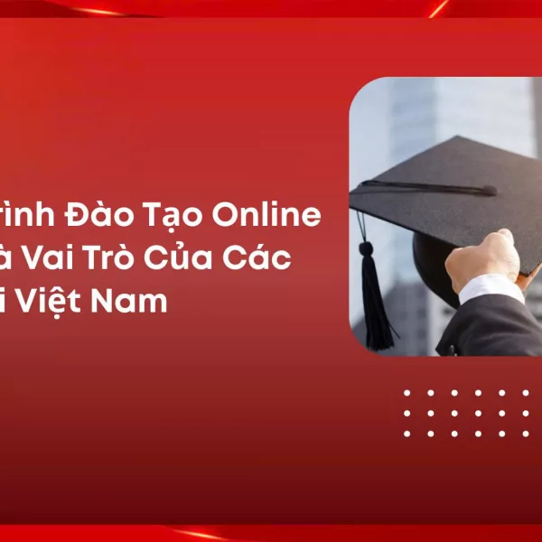 Chương Trình Đào Tạo Online Quốc Tế Là Gì? Vai Trò Của Các Đối Tác Tại Việt Nam