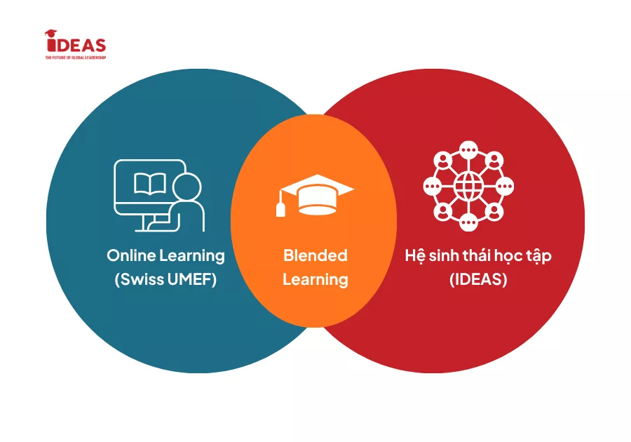 Blended Learning: Vì sao MBA Online thuần trực tuyến chưa đủ?